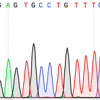 DNA sequencing chromatogram
