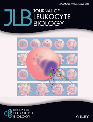 Artwork on August 2020 cover of Journal of Leukocyte Biology