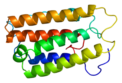 Molecular structure of Protein IFNα2